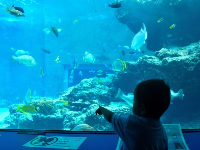 沖縄美ら海水族館イメージ